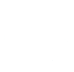 logo_nebula_icon.png